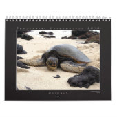 DU 2010-agenda voor de groep fotografie Kalender (Hoes)