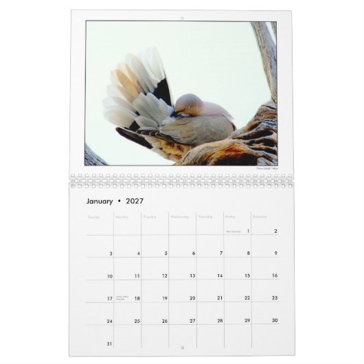 DU 2010-agenda voor de groep fotografie Kalender (Jan 2027)