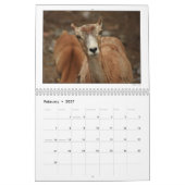 DU 2010-agenda voor de groep fotografie Kalender (Feb 2027)