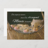 Du sagst ja immer, dass Du dringend Mäuse brauchst Briefkaart (Voorkant / Achterkant)