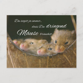 Du sagst ja immer, dass Du dringend Mäuse brauchst Briefkaart