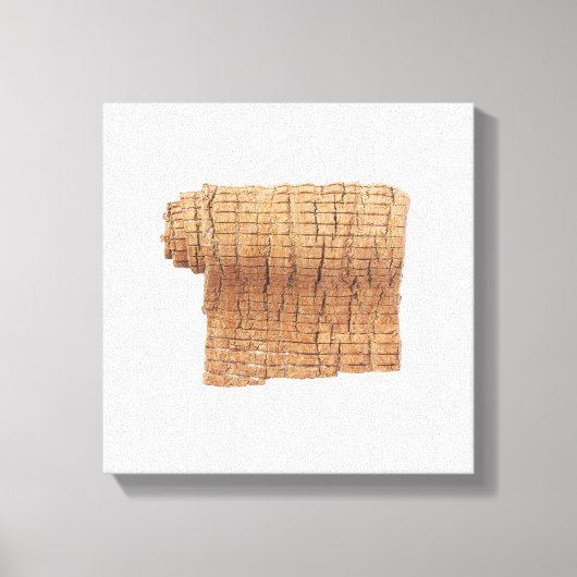 Du Zhong Canvas Afdrukken (Voorkant)