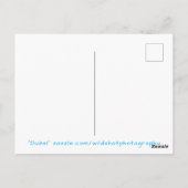 Dubai City Liight Time Briefkaart (Achterkant)