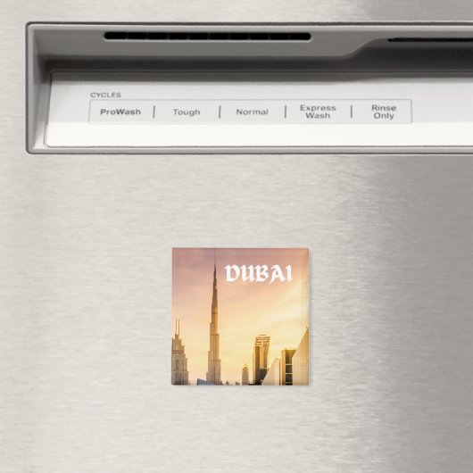 Dubai magneet (Insitu (Vaatwasser))