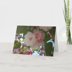 Dubbel Bloeiende Kersenboom I Lente Bloemen Bedankkaart