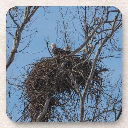 Dubbel Eagle Trouble Bier Onderzetter (Voorkant)