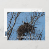 Dubbel Eagle Trouble Briefkaart (Voorkant / Achterkant)