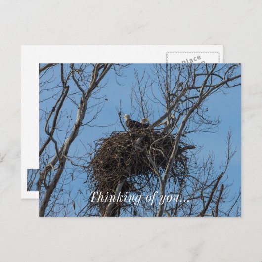 Dubbel Eagle Trouble Briefkaart (Voorkant / Achterkant)