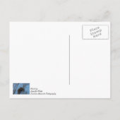 Dubbel Eagle Trouble Briefkaart (Achterkant)