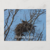 Dubbel Eagle Trouble Briefkaart (Voorkant)