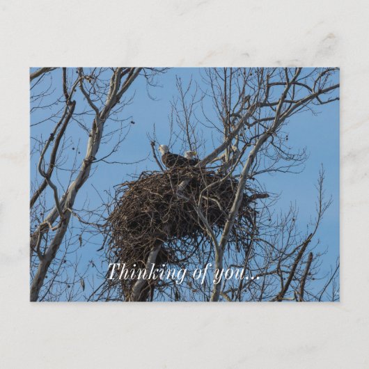 Dubbel Eagle Trouble Briefkaart (Voorkant)