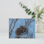 Dubbel Eagle Trouble Briefkaart (Staand voorkant)