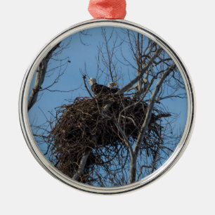 Dubbel Eagle Trouble Metalen Ornament