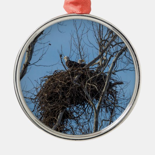 Dubbel Eagle Trouble Metalen Ornament (Voorkant)