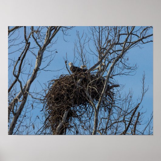 Dubbel Eagle Trouble Poster (Voorkant)