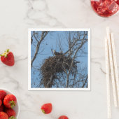 Dubbel Eagle Trouble Servet (Insitu)