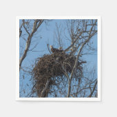 Dubbel Eagle Trouble Servet (Voorkant)