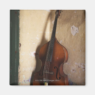 Dubbel gewicht magneet