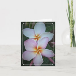 Dubbel Halo Plumeria Folded Wenskaart Kaart