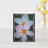 Dubbel Halo Plumeria Folded Wenskaart Kaart (Gele Bloem)