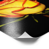 Dubbel rood en geel Rose Bloom Foto Afdruk (Hoek)