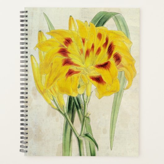 dubbelbloedig overdag planner (Voorkant)