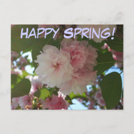 Dubbelbloeiende Cherry Tree I Spring Floral Briefkaart
