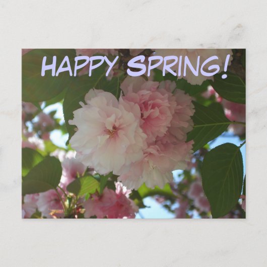 Dubbelbloeiende Cherry Tree I Spring Floral Briefkaart (Voorkant)