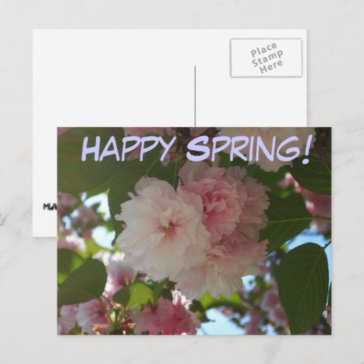 Dubbelbloeiende Cherry Tree I Spring Floral Briefkaart (Voorkant / Achterkant)