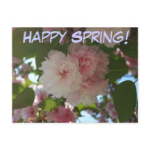 Dubbelbloeiende Cherry Tree I Spring Floral