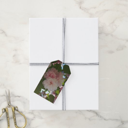 Dubbelbloeiende Cherry Tree I Spring Floral Cadeaulabel (Met Touw)
