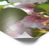 Dubbelbloeiende Cherry Tree I Spring Floral Foto Afdruk (Hoek)