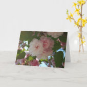Dubbelbloeiende Cherry Tree I Spring Floral Kaart (Gele Bloem)