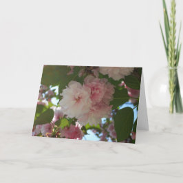 Dubbelbloeiende Cherry Tree I Spring Floral Kaart