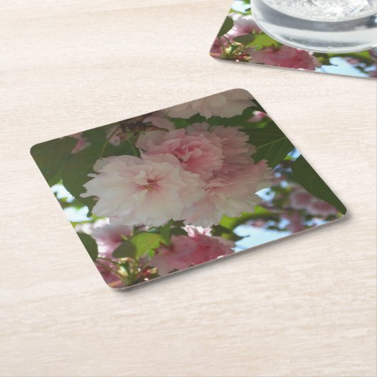 Dubbelbloeiende Cherry Tree I Spring Floral Kartonnen Onderzetters (Schuin)