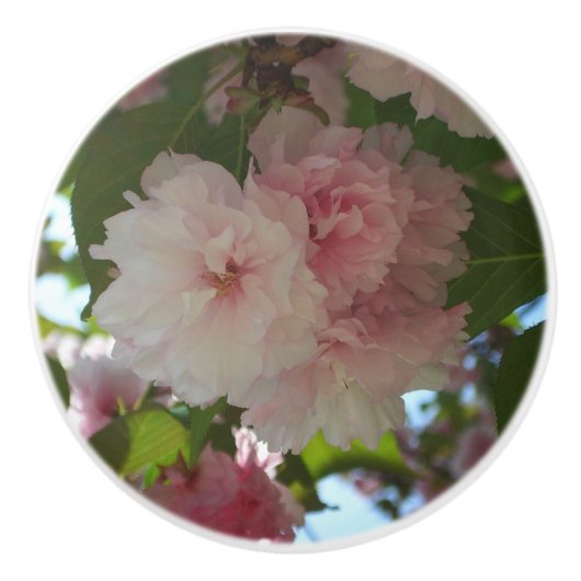 Dubbelbloeiende Cherry Tree I Spring Floral Keramische Knop (Voorkant)