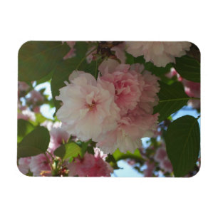 Dubbelbloeiende Cherry Tree I Spring Floral Magneet