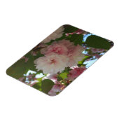 Dubbelbloeiende Cherry Tree I Spring Floral Magneet (Linkerzijde)