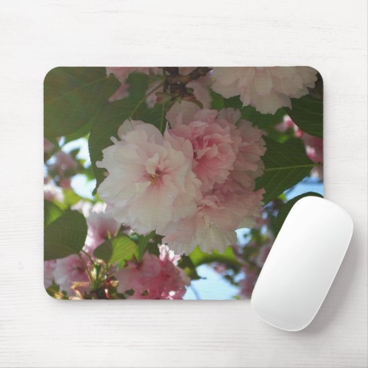 Dubbelbloeiende Cherry Tree I Spring Floral Muismat (Met muis)