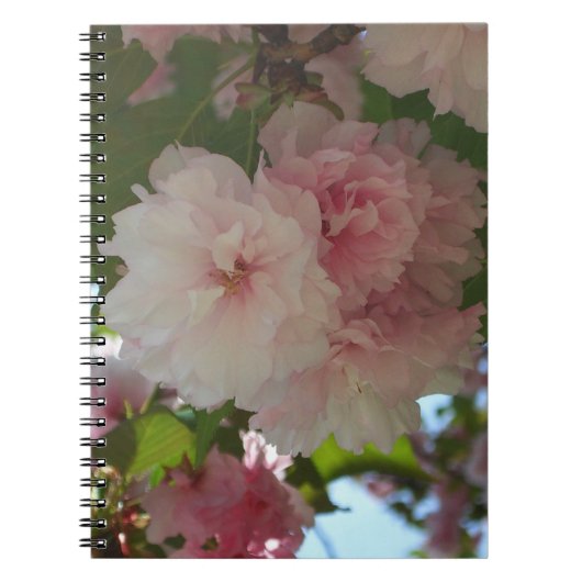 Dubbelbloeiende Cherry Tree I Spring Floral Notitieboek (Voorkant)
