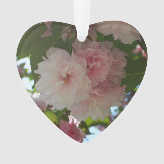 Dubbelbloeiende Cherry Tree I Spring Floral Ornament (voorkant)