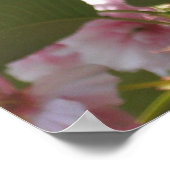 Dubbelbloeiende Cherry Tree I Spring Floral Poster (Hoek)
