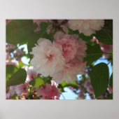 Dubbelbloeiende Cherry Tree I Spring Floral Poster (Voorkant)