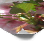 Dubbelbloeiende Cherry Tree I Spring Floral Poster (Hoek)
