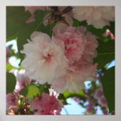 Dubbelbloeiende Cherry Tree I Spring Floral Poster (Voorkant)