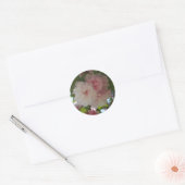 Dubbelbloeiende Cherry Tree I Spring Floral Ronde Sticker (Envelop)