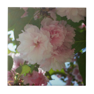 Dubbelbloeiende Cherry Tree I Spring Floral Tegeltje