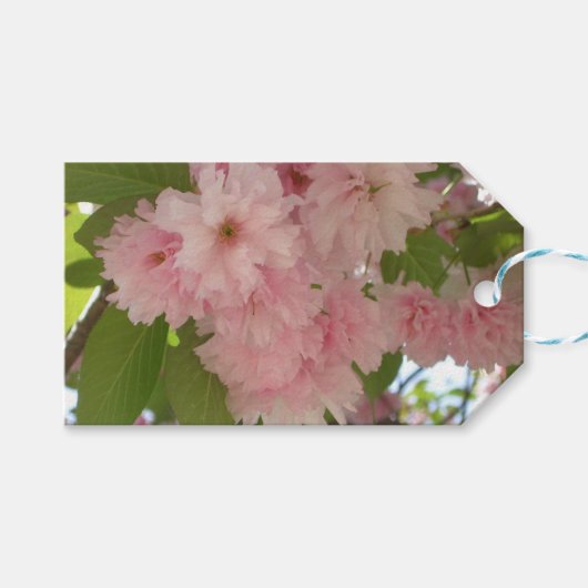 Dubbelbloeiende Cherry Tree II Spring Floral Cadeaulabel (Voorkant (Horizontaal))