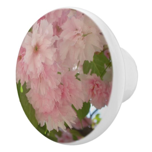 Dubbelbloeiende Cherry Tree II Spring Floral Keramische Knop (Rechts)