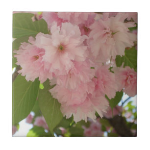 Dubbelbloeiende Cherry Tree II Spring Floral Tegeltje